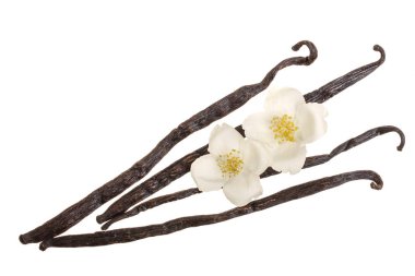 Çiçek ve yaprak beyaz arka plan üzerinde izole vanilya sopalarla. Üstten görünüm. Düz yatıyordu