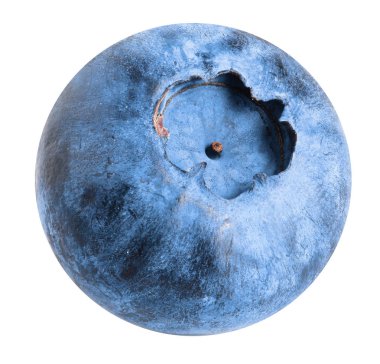 Beyaz arka planda tek taze yaban mersini.