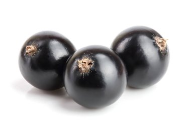 Beyaz arka plan üzerinde izole üç siyah frenk üzümü