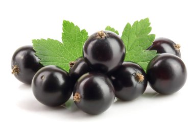 Beyaz zemin üzerinde yaprak izole siyah frenk üzümü