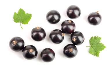 yaprak beyaz arka plan üzerinde izole siyah frenk üzümü. Üstten görünüm. Düz yatıyordu desen