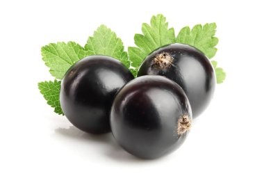 Beyaz arka plan üzerinde izole yaprak ile üç Siyah frenk üzümü.