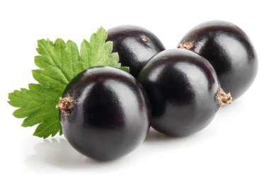 Beyaz zemin üzerinde yaprak izole siyah frenk üzümü