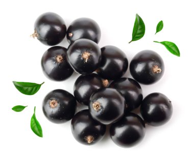 yaprak beyaz arka plan üzerinde izole siyah frenk üzümü. Üstten görünüm. Düz yatıyordu desen