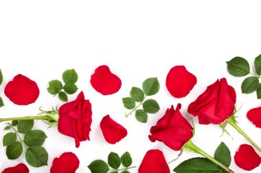 güzel kırmızı gül yaprakları ve kopya alanı metniniz için beyaz zemin üzerine izole yaprakları ile. Üstten görünüm. Düz yatıyordu desen