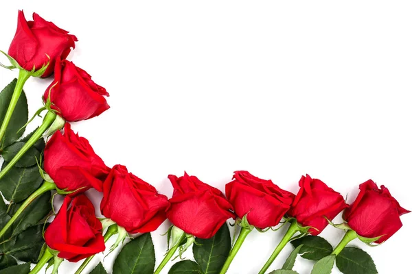 Beautiful red rose with leaves isolated on white background with copy space for your text. Top view. Flat lay pattern — Stock Photo, Image