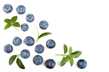 Olgun taze yaban mersini yaprak kopya alanı metniniz için beyaz zemin üzerine izole. Üstten görünüm. Düz yatıyordu desen