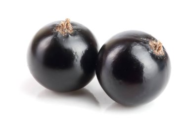 Beyaz arka plan üzerinde izole iki Siyah frenk üzümü