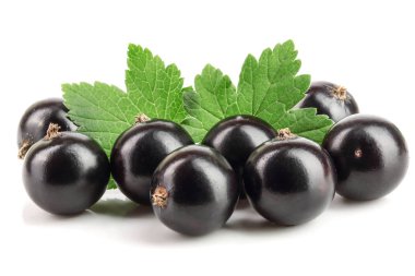 Beyaz zemin üzerinde yaprak izole siyah frenk üzümü