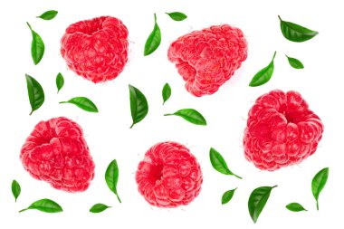 Beyaz arka plan üzerinde izole ahududu. Üstten görünüm. Düz yatıyordu desen