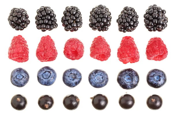黑醋栗蓝莓黑加仑在白色背景下分离。顶部视图。集或集合 — 图库照片