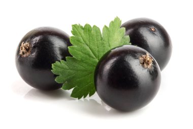 Beyaz arka plan üzerinde izole yaprak ile üç Siyah frenk üzümü