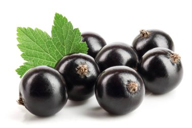 Beyaz zemin üzerinde yaprak izole siyah frenk üzümü