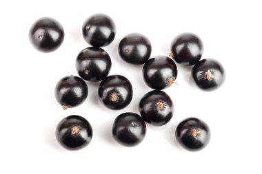 Beyaz arka plan üzerinde izole siyah frenk üzümü. Üstten görünüm. Düz yatıyordu desen