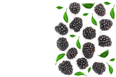 Taze böğürtlen ile izole üzerinde beyaz arka plan kopya alanı metniniz için bırakır. Üstten görünüm. Düz yatıyordu desen