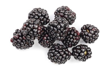 Beyaz arka plan üzerinde izole taze böğürtlen. Üstten görünüm. Düz yatıyordu desen