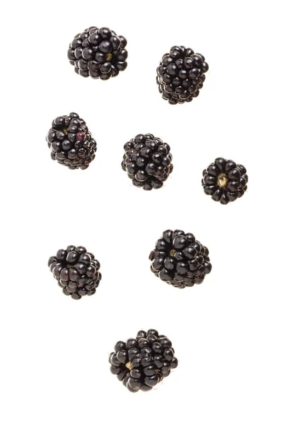 Csökkenő blackberry gyümölcsöt elszigetelt fehér background — Stock Fotó