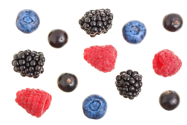 Blackberry blueberry raspberry hitam currant diisolasi pada latar belakang putih. Pemandangan bagus. Pola lay datar — Stok Foto