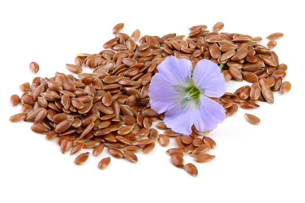 Semillas de lino con flor aislada sobre fondo blanco — Foto de Stock