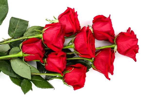 Gyönyörű piros rózsa, elszigetelt fehér background. Felülnézet. Lapos laikus mintát — Stock Fotó