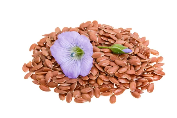 Flax seeds with flower isolated on white background — Stock Photo, Image