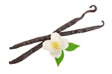 Çiçek ve yaprak beyaz arka plan üzerinde izole vanilya sopalarla. Üstten görünüm. Düz yatıyordu