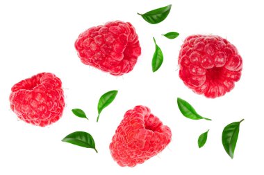 Beyaz arka plan üzerinde izole ahududu. Üstten görünüm. Düz yatıyordu desen