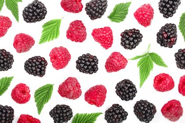 Böğürtlen ve ahududu yaprakları beyaz arka planda. Üst Manzara. Düz uzanma deseni