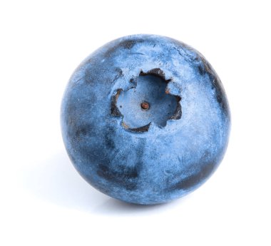 Beyaz arka planda tek taze yaban mersini.