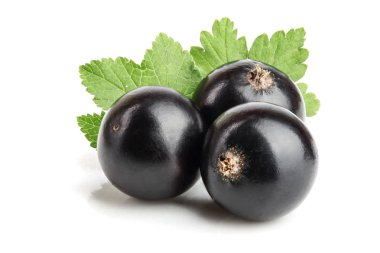 Beyaz arka plan üzerinde izole yaprak ile üç Siyah frenk üzümü