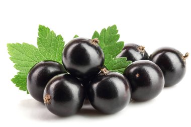 Beyaz zemin üzerinde yaprak izole siyah frenk üzümü