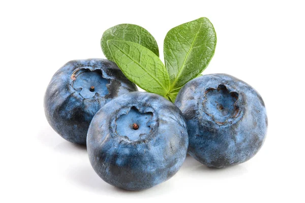 Fresh blueberry with leaf isolated on white background — Stock Photo, Image