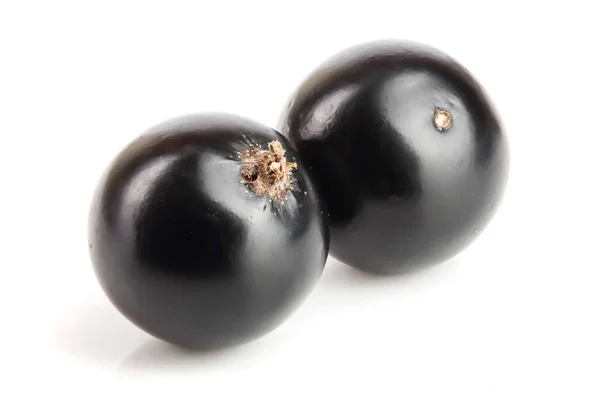 Zwei schwarze Johannisbeeren isoliert auf weißem Hintergrund — Stockfoto