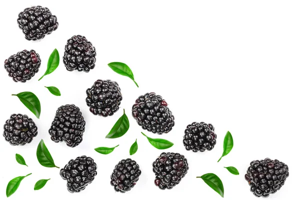 新鲜黑莓与叶子在白色背景被隔绝与拷贝空间为您的文本。顶部视图。平躺模式 — 图库照片