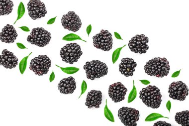 Taze böğürtlen kopya alanı metniniz için beyaz zemin üzerine izole. Üstten görünüm. Düz yatıyordu desen