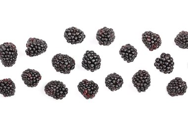 Taze böğürtlen kopya alanı metniniz için beyaz zemin üzerine izole. Üstten görünüm. Düz yatıyordu desen