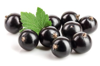 Beyaz zemin üzerinde yaprak izole siyah frenk üzümü