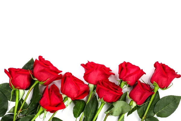 Prachtige rode roos met bladeren geïsoleerd op een witte achtergrond met kopie ruimte voor uw tekst. Bovenaanzicht. Plat lag patroon — Stockfoto