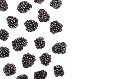 Taze böğürtlen kopya alanı metniniz için beyaz zemin üzerine izole. Üstten görünüm. Düz yatıyordu desen