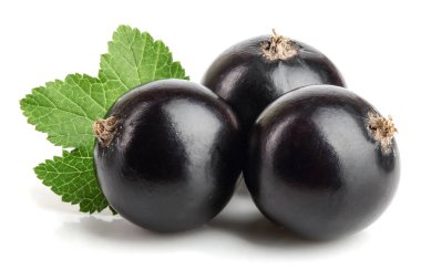 Beyaz arka plan üzerinde izole yaprak ile üç Siyah frenk üzümü