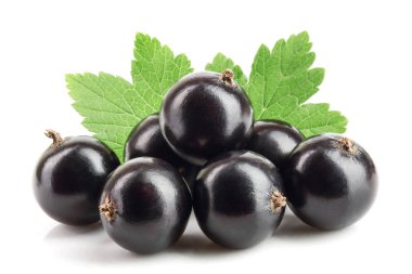 Beyaz zemin üzerinde yaprak izole siyah frenk üzümü.