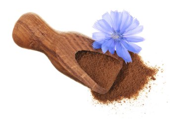 hindiba çiçek ve anlık hindiba beyaz bir arka plan üzerinde izole tahta kaşık toz. Cichorium intybus