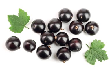 yaprak beyaz arka plan üzerinde izole siyah frenk üzümü. Üstten görünüm. Düz yatıyordu desen