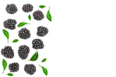 Taze böğürtlen ile izole üzerinde beyaz arka plan kopya alanı metniniz için bırakır. Üstten görünüm. Düz yatıyordu desen