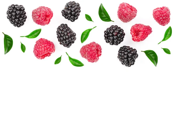 黑莓和覆盆子的叶子被隔离在白色的背景与复制空间为您的文本。顶部视图。平躺模式 — 图库照片