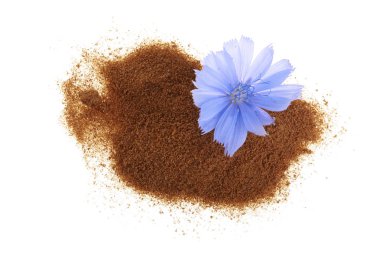 hindiba çiçek ve anlık hindiba beyaz bir arka plan üzerinde izole toz. Cichorium intybus