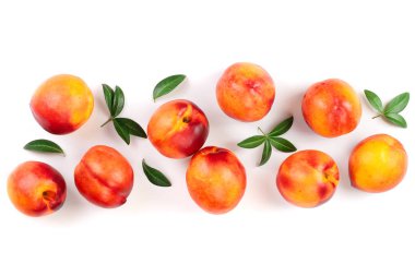 Olgun nektarin ile izole üzerinde beyaz arka plan kopya alanı metniniz için bırakır. Üstten görünüm. Düz yatıyordu desen