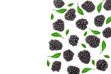 Taze böğürtlen kopya alanı metniniz için beyaz zemin üzerine izole. Üstten görünüm. Düz yatıyordu desen