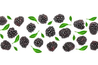 Taze böğürtlen kopya alanı metniniz için beyaz zemin üzerine izole. Üstten görünüm. Düz yatıyordu desen