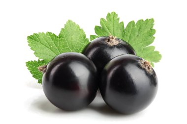 Beyaz arka plan üzerinde izole yaprak ile üç Siyah frenk üzümü